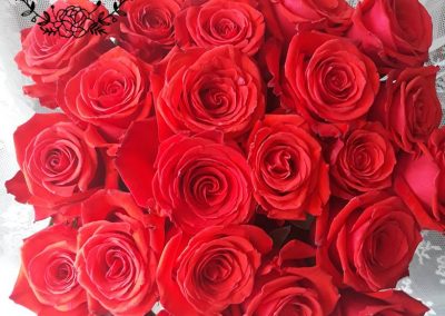 Valentín kytica 25 ruží
