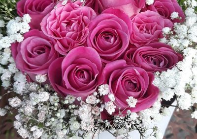 flowerbox ružové ruže a gypsophylla